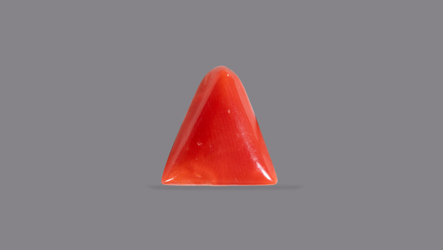 Natural Italian Red Coral (Moonga) 5.70 Carats