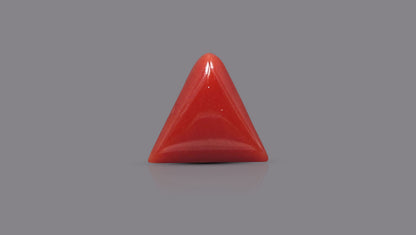 Natural Italian Red Coral (Moonga) 5.65 Carats
