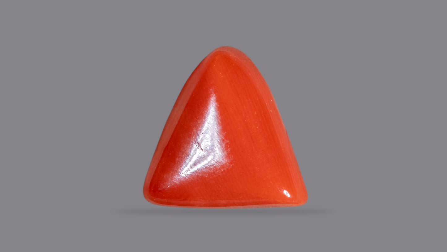 Natural Italian Red Coral (Moonga) 6.52 Carats