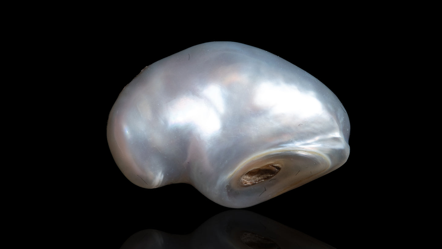 Venezuela Pearl (Moti) 6.58 Carats