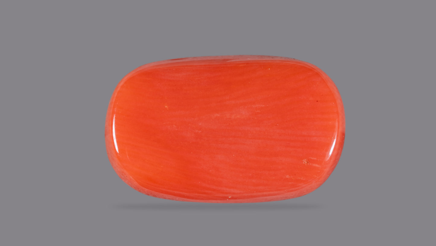 Natural Italian Red Coral (Moonga)12.59 Carats