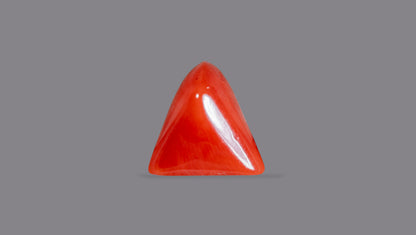 Natural Italian Red Coral (Moonga) 5.23 Carats