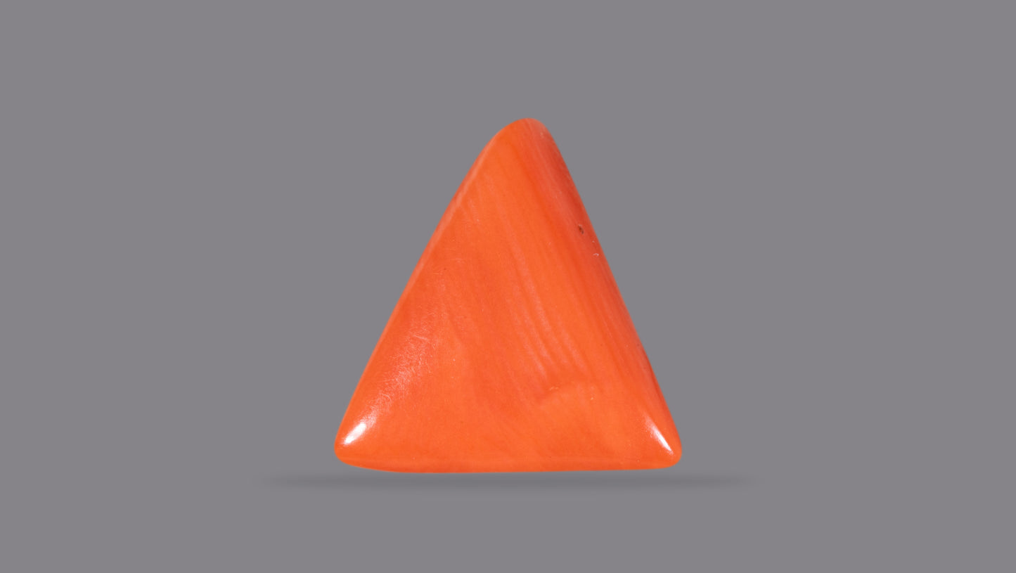 NATURAL RED CORAL (Moonga) 4.48 CARATS