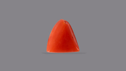 Natural Italian Red Coral (Moonga) 6.13 Carats