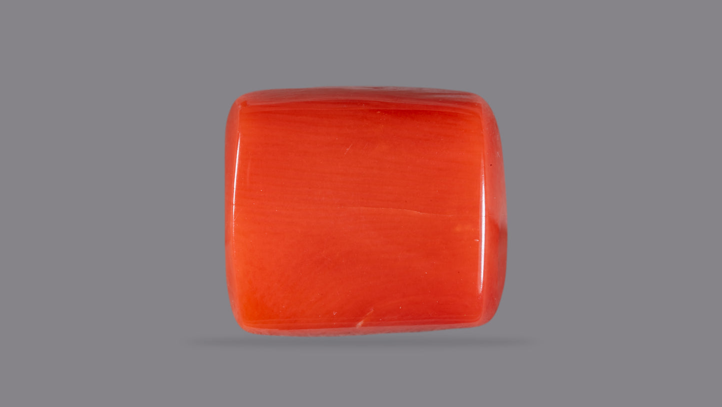 Natural Italian Red Coral (Moonga) 13.95 Carats