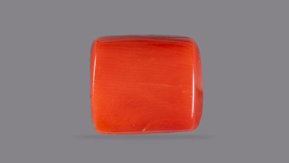 Natural Italian Red Coral (Moonga) 13.95 Carats