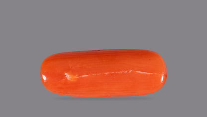 NATURAL RED CORAL (Moonga) 6.04 CARATS