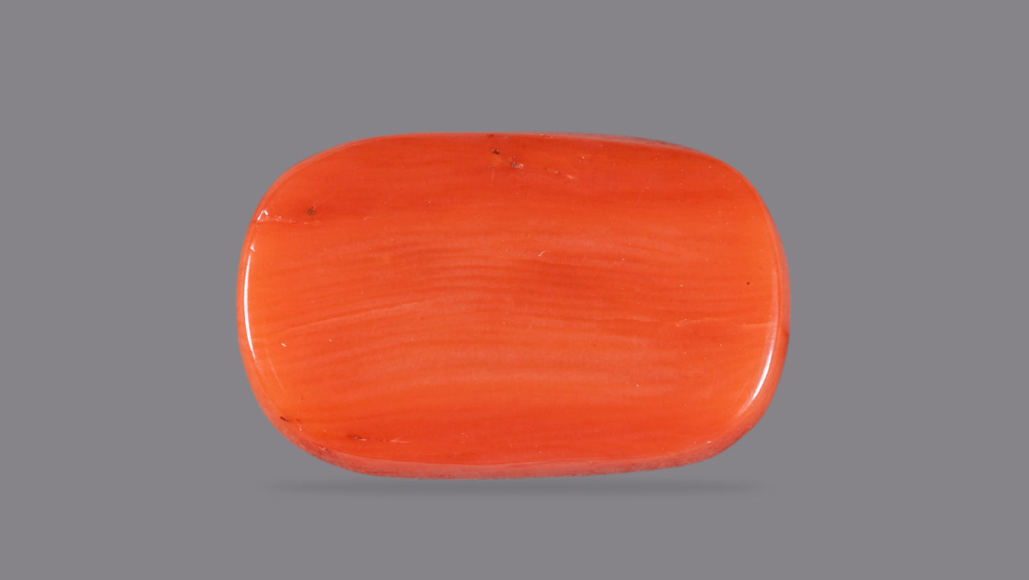 Natural Italian Red Coral (Moonga) 8.61 Carats