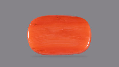 Natural Italian Red Coral (Moonga) 8.61 Carats