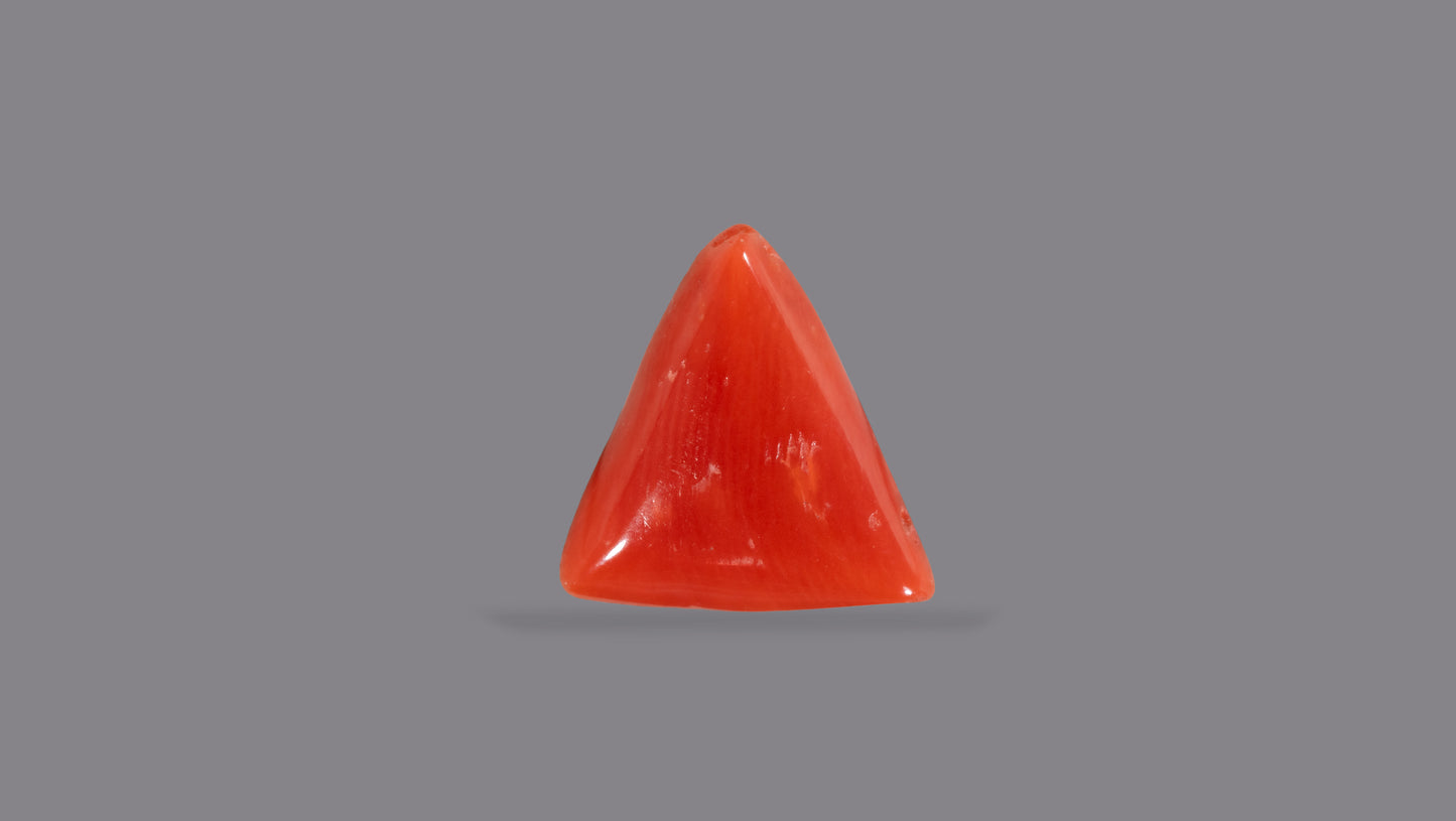 Natural Italian Red Coral (Moonga) 5.10 Carats