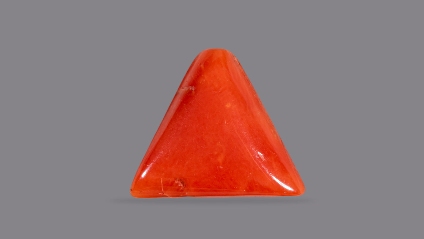 Natural Italian Red Coral (Moonga) 6.92 Carats