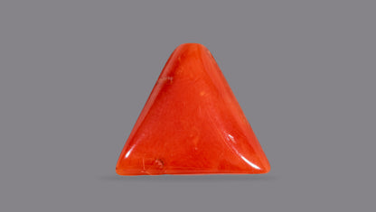 Natural Italian Red Coral (Moonga) 6.92 Carats