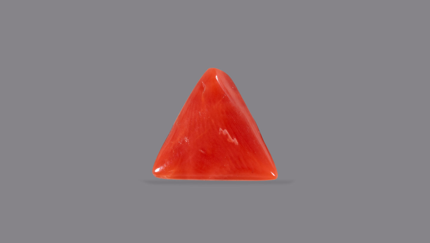 Natural Italian Red Coral (Moonga) 5.09 Carats