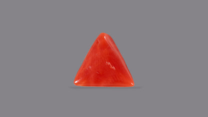 Natural Italian Red Coral (Moonga) 5.09 Carats