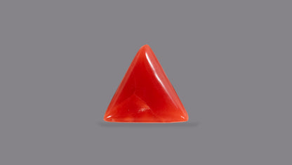 Natural Italian Red Coral (Moonga) 5.10 Carats