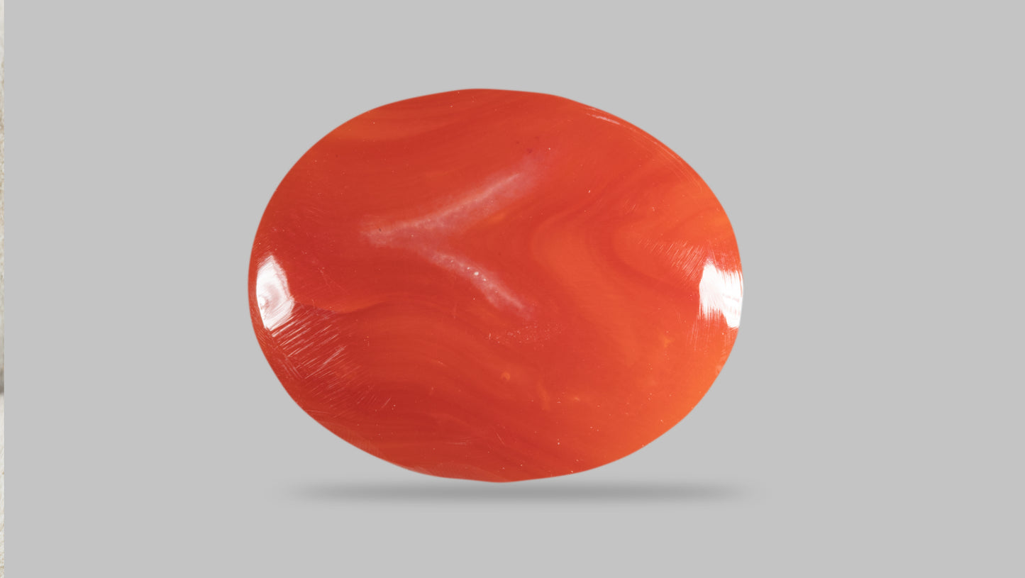 Japanese Red Coral (Moonga) 9.06 Carats
