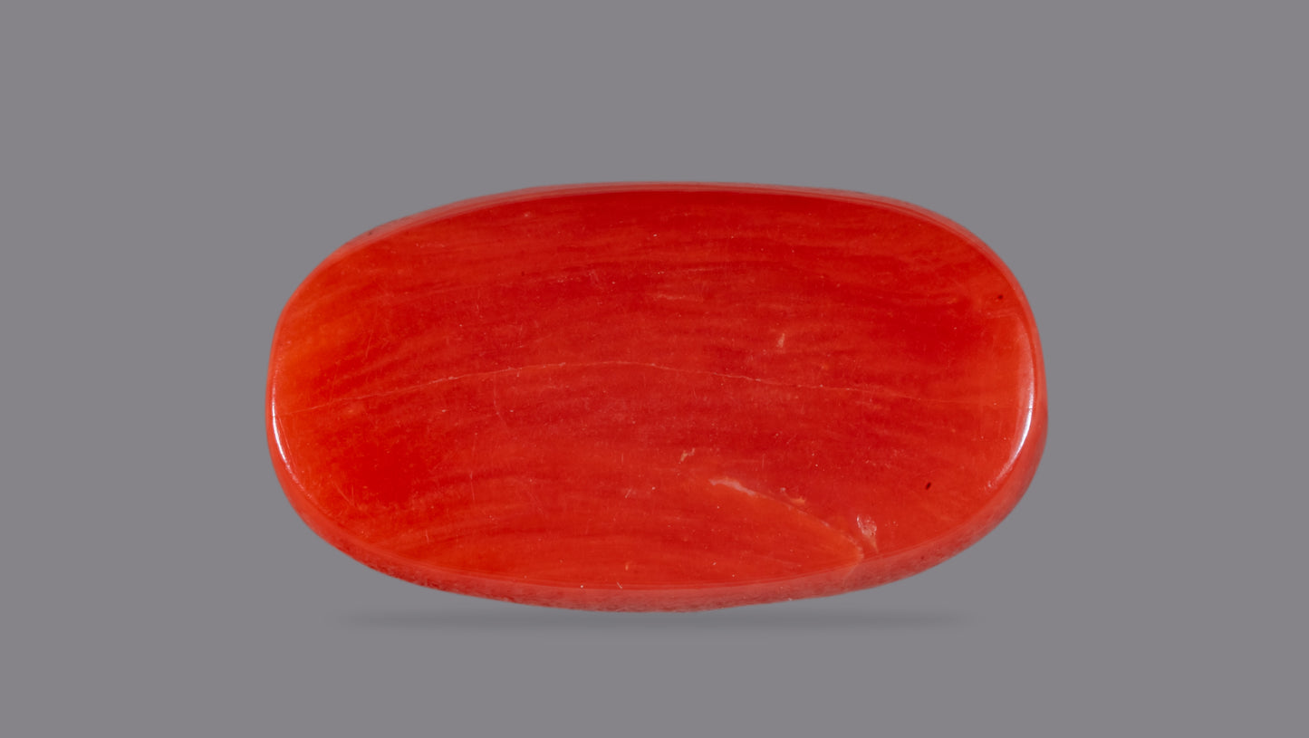 NATURAL RED CORAL (Moonga) 7.15 CARATS