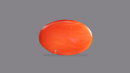Japanese Red Coral (Moonga) 5.34 Carats