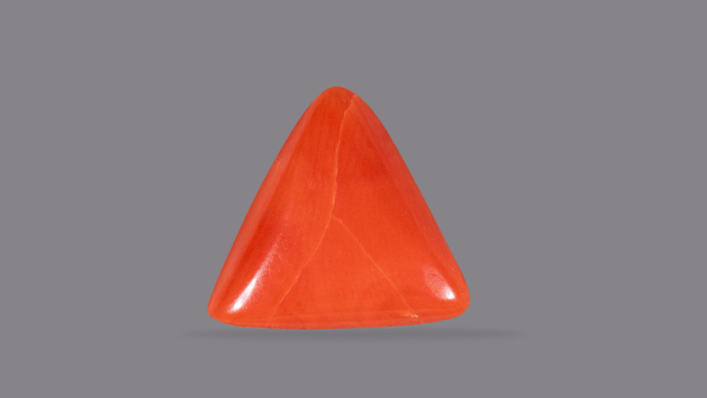 NATURAL RED CORAL (Moonga) 4.27 CARATS