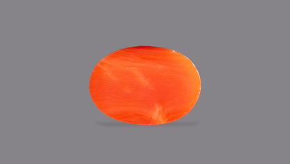 Japanese Red Coral (Moonga) 6.00 Carats