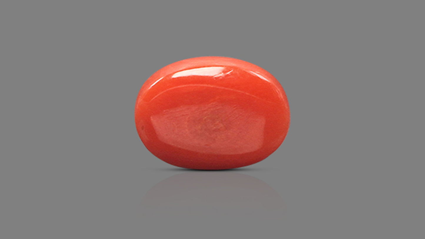 Natural Italian Red Coral (Moonga) 8.40 Carats