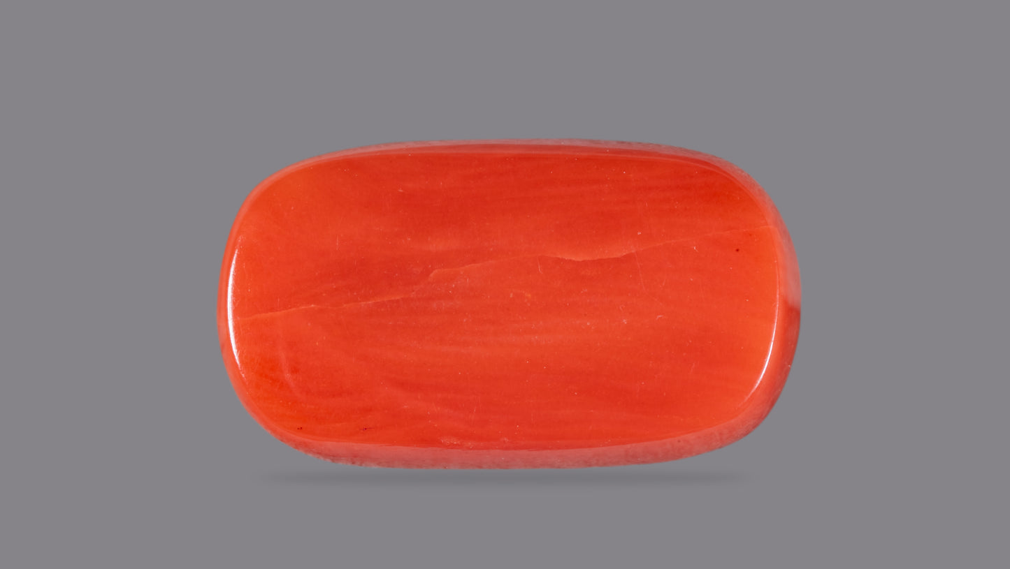 Natural Italian Red Coral (Moonga) 9.98 Carats