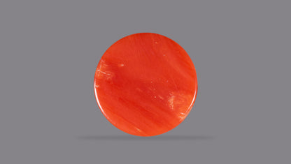 Japanese Red Coral (Moonga) 4.47 Carats