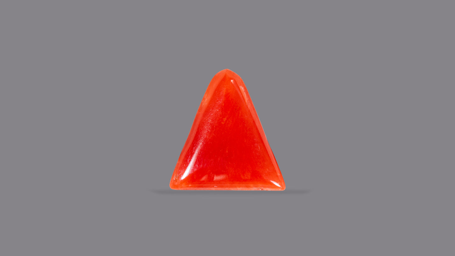 Natural Italian Red Coral (Moonga) 5.19 Carats