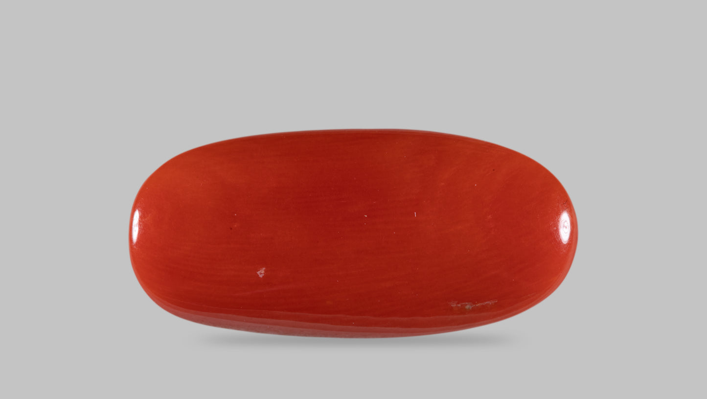 NATURAL RED CORAL (MOONGA) 15.21 CARATS