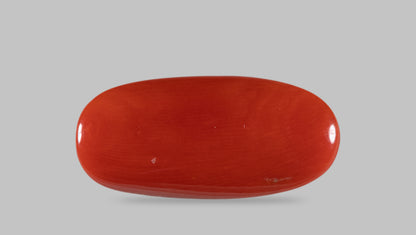 NATURAL RED CORAL (MOONGA) 15.21 CARATS
