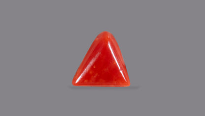 Natural Italian Red Coral (Moonga) 5.27 Carats