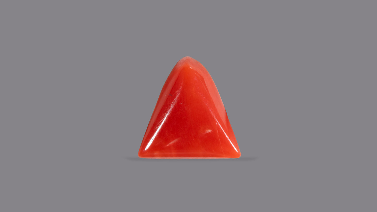 Natural Italian Red Coral (Moonga) 5.79 Carats