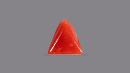 Natural Italian Red Coral (Moonga) 5.79 Carats