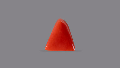 Natural Italian Red Coral (Moonga) 5.95 Carats