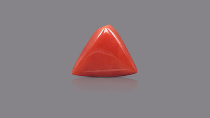 Natural Italian Red Coral (Moonga) 5.92 Carats