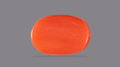 Natural Italian Red Coral (Moonga) 15.43 Carats