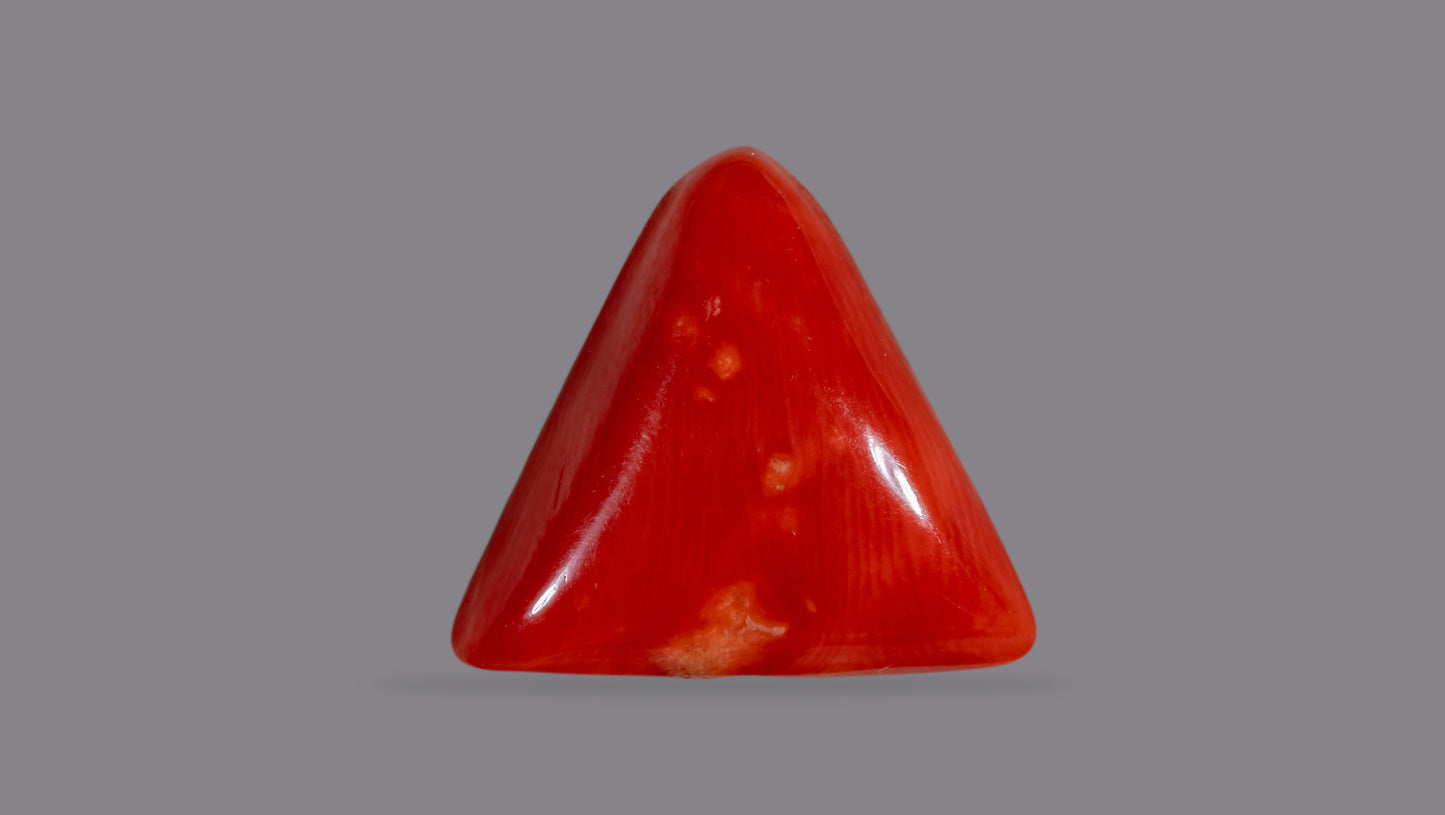 Natural Italian Red Coral (Moonga) 11.81 Carats