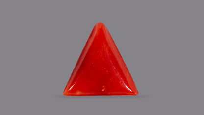Natural Italian Red Coral (Moonga) 6.81 Carats