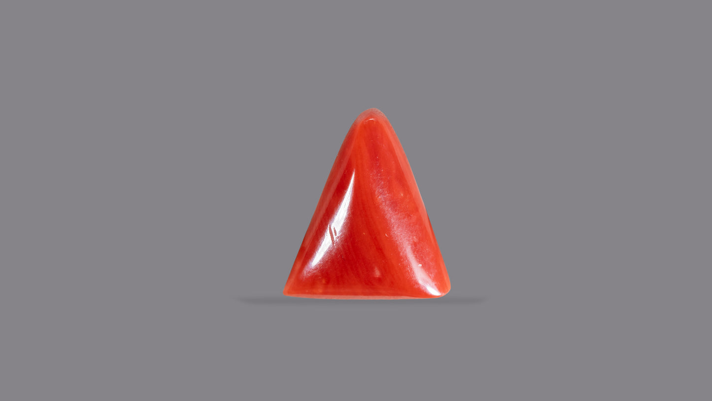 Natural Italian Red Coral (Moonga) 5.31 Carats