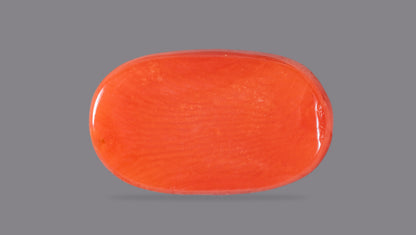 NATURAL RED CORAL (Moonga) 9.87 CARATS
