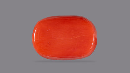Natural Italian Red Coral (Moonga) 12.63 Carats