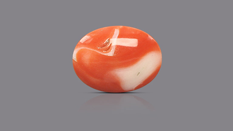 Japanese Red Coral (Moonga) 18.41 Carats