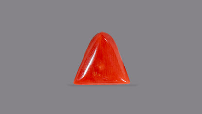 Natural Italian Red Coral (Moonga) 5.20 Carats