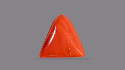 Natural Italian Red Coral (Moonga) 6.75 Carats