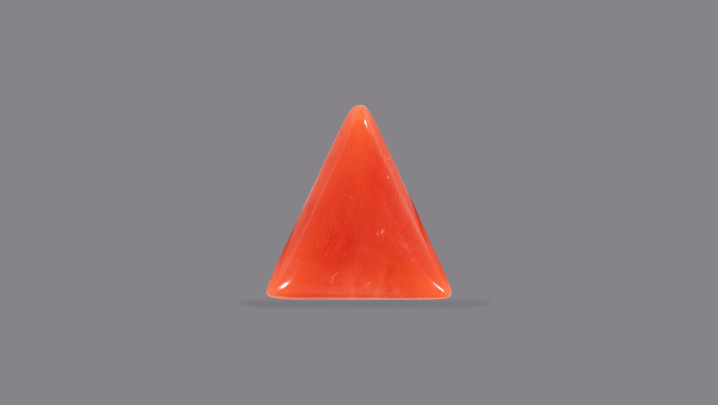 Natural Italian Red Coral (Moonga) 5.99 Carats
