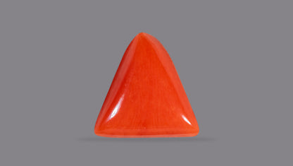 Natural Italian Red Coral (Moonga) 5.42 Carats