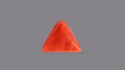 Natural Italian Red Coral (Moonga) 4.98 Carats