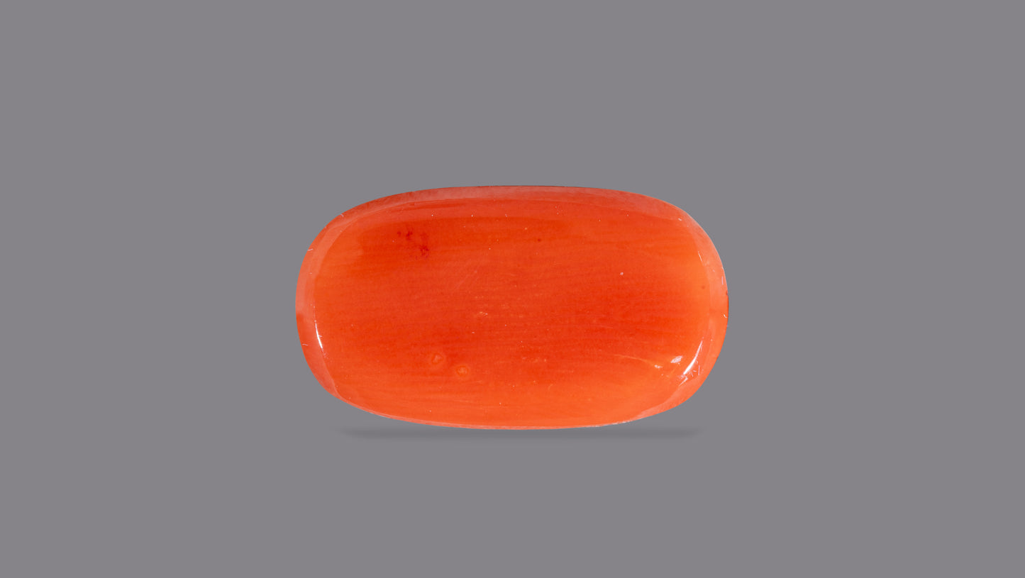 Natural Italian Red Coral (Moonga) 7.59 Carats
