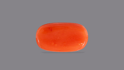 Natural Italian Red Coral (Moonga) 7.59 Carats