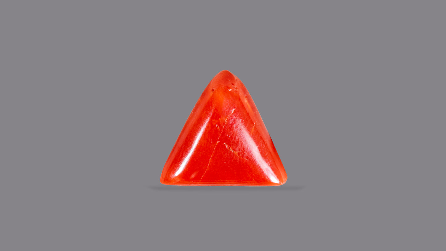 Natural Italian Red Coral (Moonga) 4.99 Carats